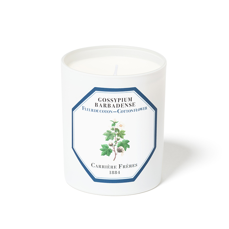 Nến Thơm Carrière Frères Nến Thơm Hương Hoa Bông Candle Cotton Flower 185gr Nến Thơm Carrière Frères Nến Thơm Hương Hoa Bông Candle Cotton Flower 185gr