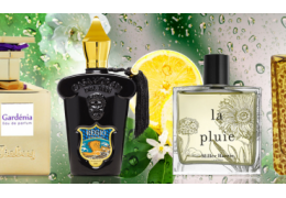 Scent of The Rain: Perfumes for Rainy Season